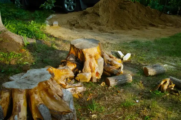 Stump Removal